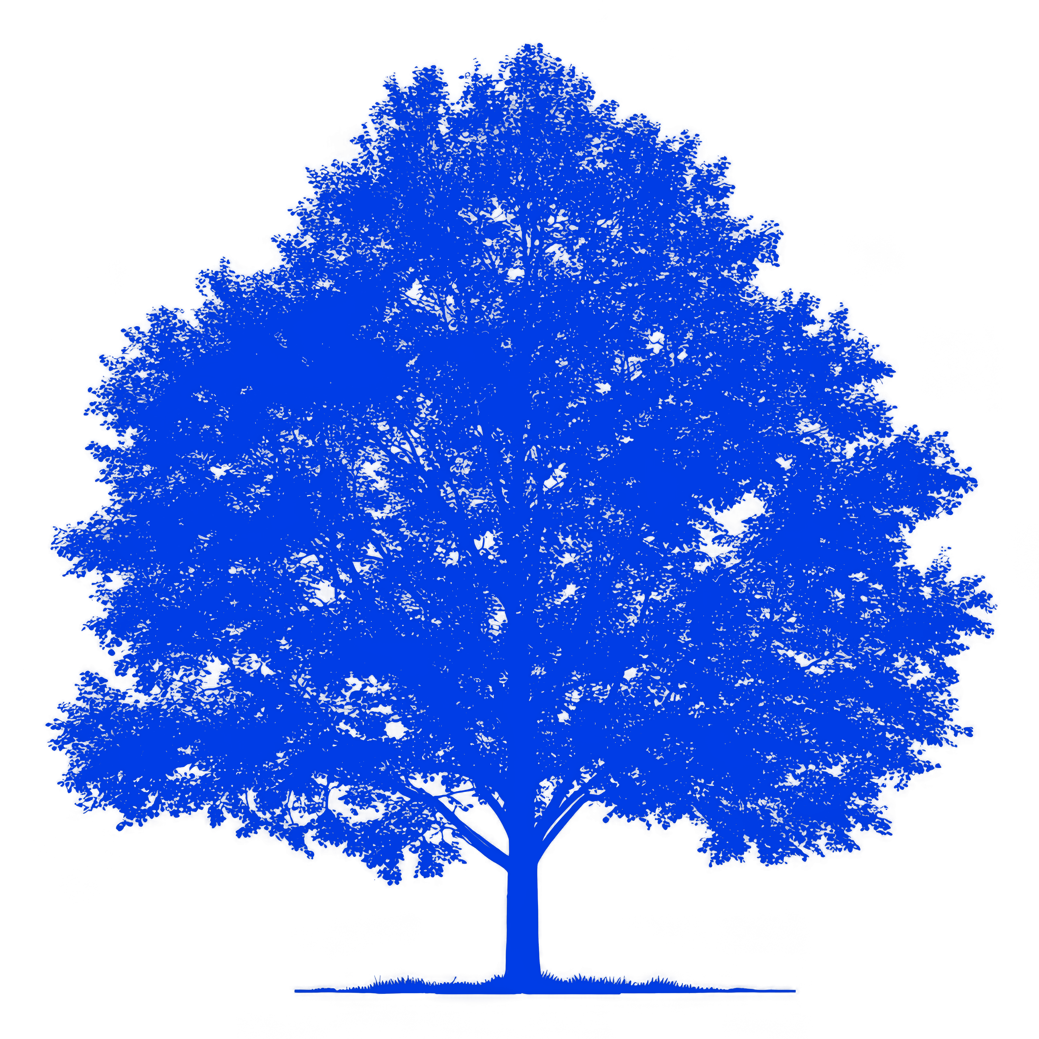 Método MARCA · El árbol del método